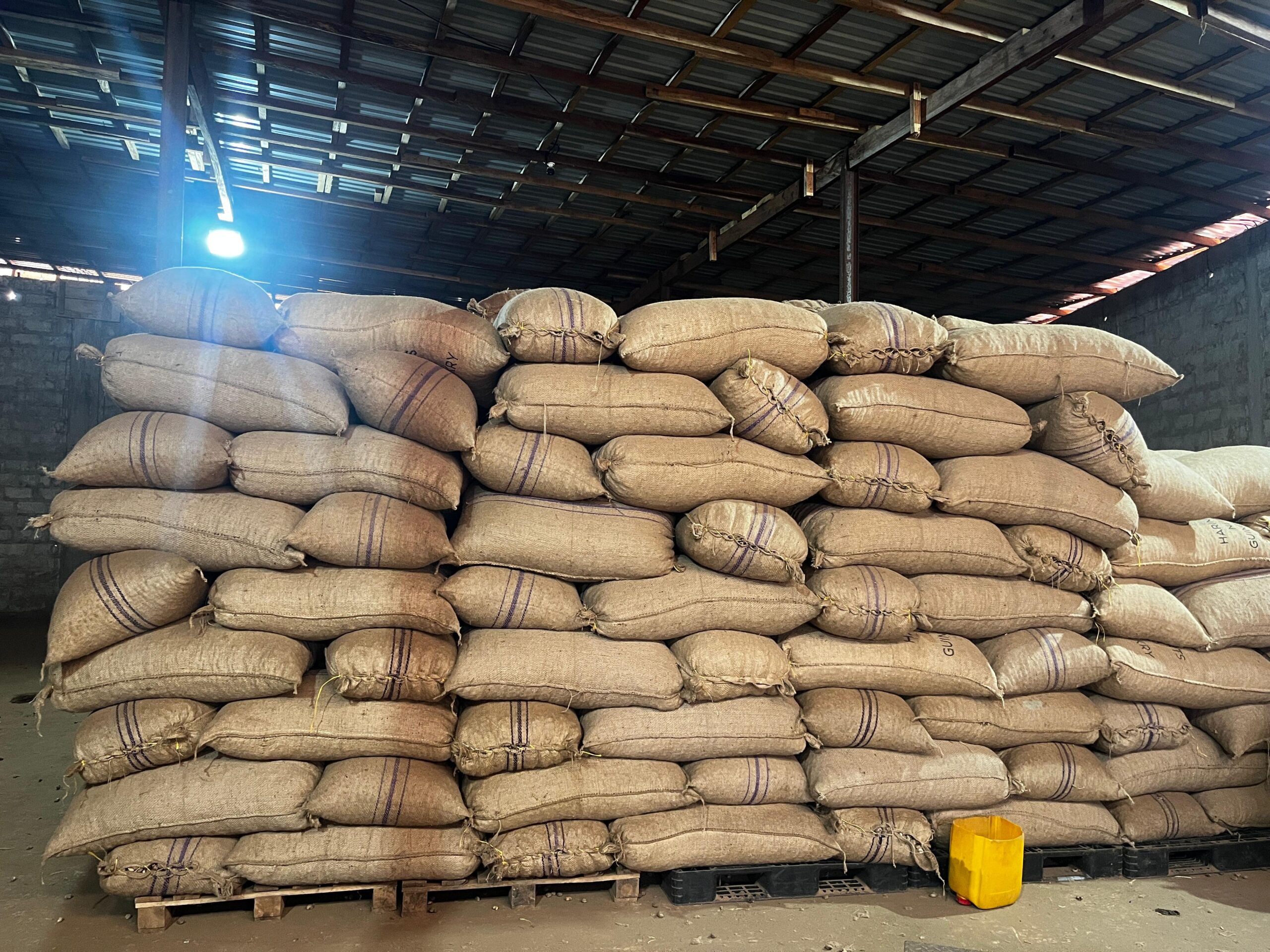 Home whatsapp image 2025 12 06 at 18.56.05